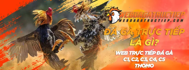 webdagatructiep1 webdagatructiep1