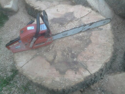 Delaney Tree Cutting Service