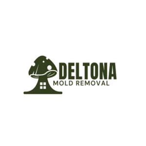 Deltona Mold Removal