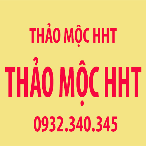 thaomochht