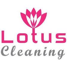 Lotus Upholstery Cleaning Mitcham