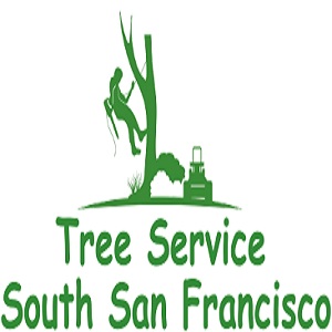 Tree Service South San Francisco