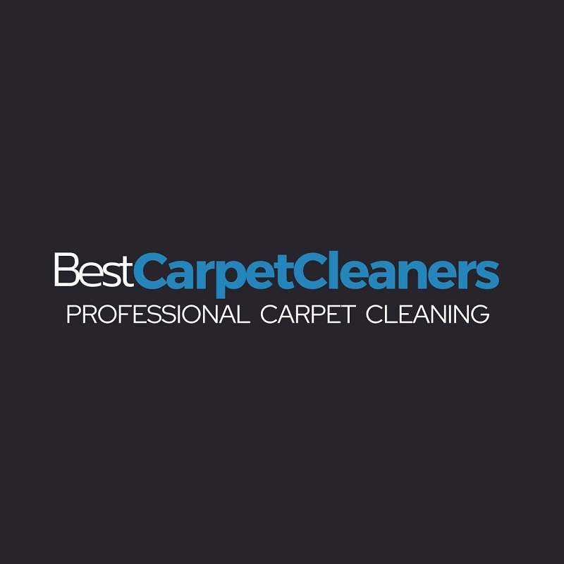 Best Carpet Cleaners