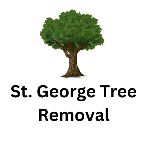 location logo