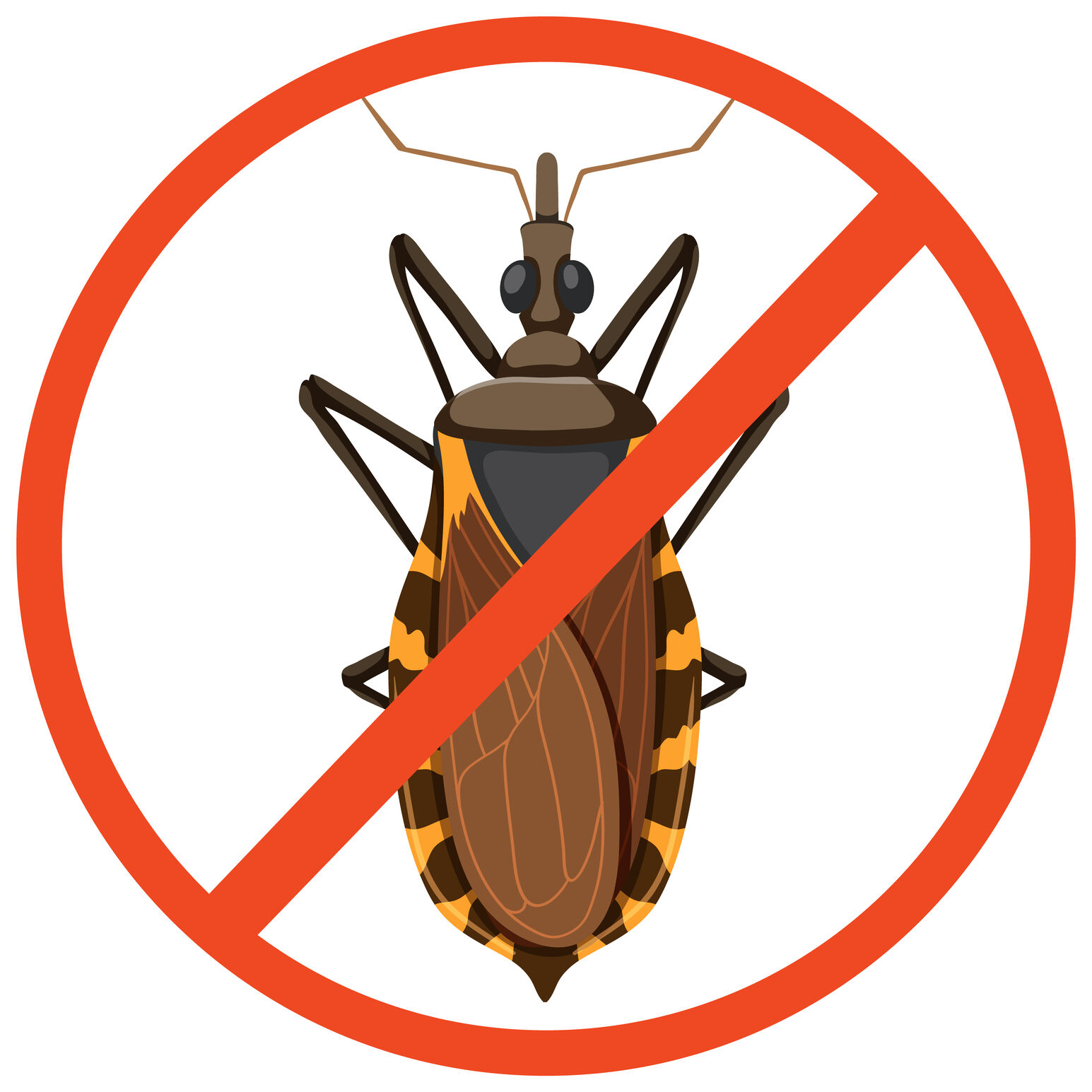 GAM Bed Bug Exterminator Staten Island