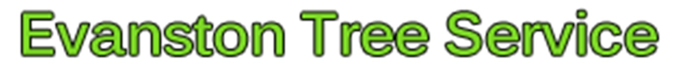 Evanston Tree Service