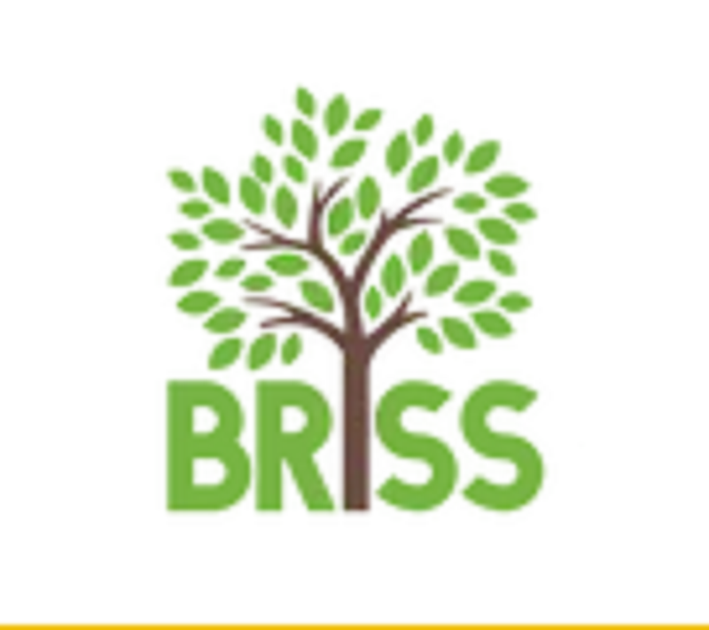Briss Cleaning Services