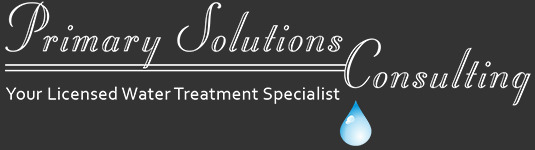 Primary Solutions Consulting