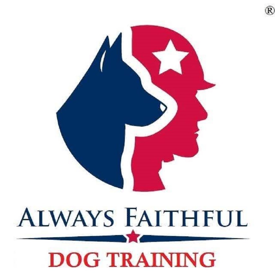 Always Faithful Dog & Puppy Training Omaha NE
