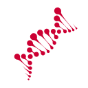 Adrenal Fatigue Solution