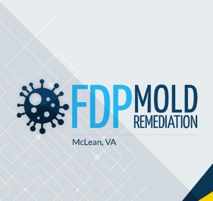 FDP Mold Remediation | Mold Remediation McLean