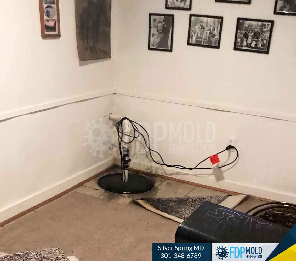 FDP Mold Remediation of Silver Spring