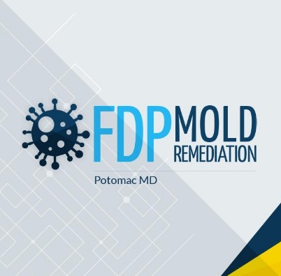 FDP Mold Remediation | Mold Remediation Potomac