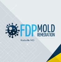 FDP Mold Remediation of Rockville