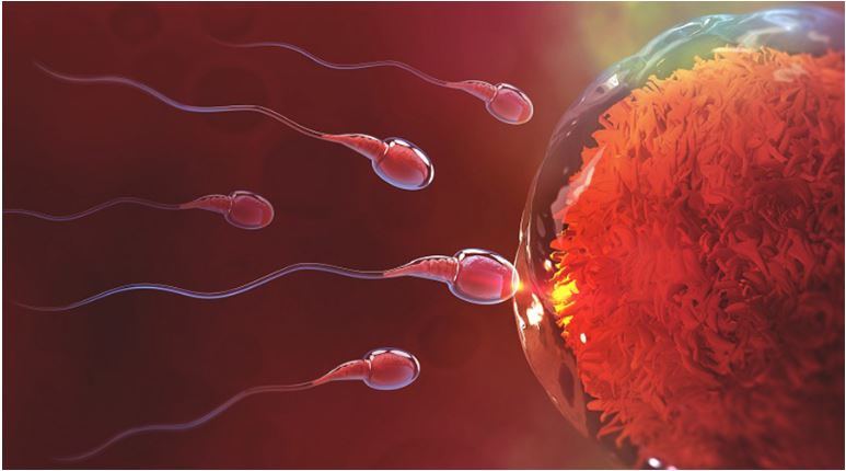 Ways To Increase Fertility In Your 30s