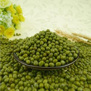 China Beans Manufacturers and Suppliers - B2BAgriculture