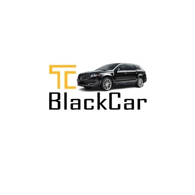 MSP Airport Black Car Private Chauffeurs Service Town Car Service