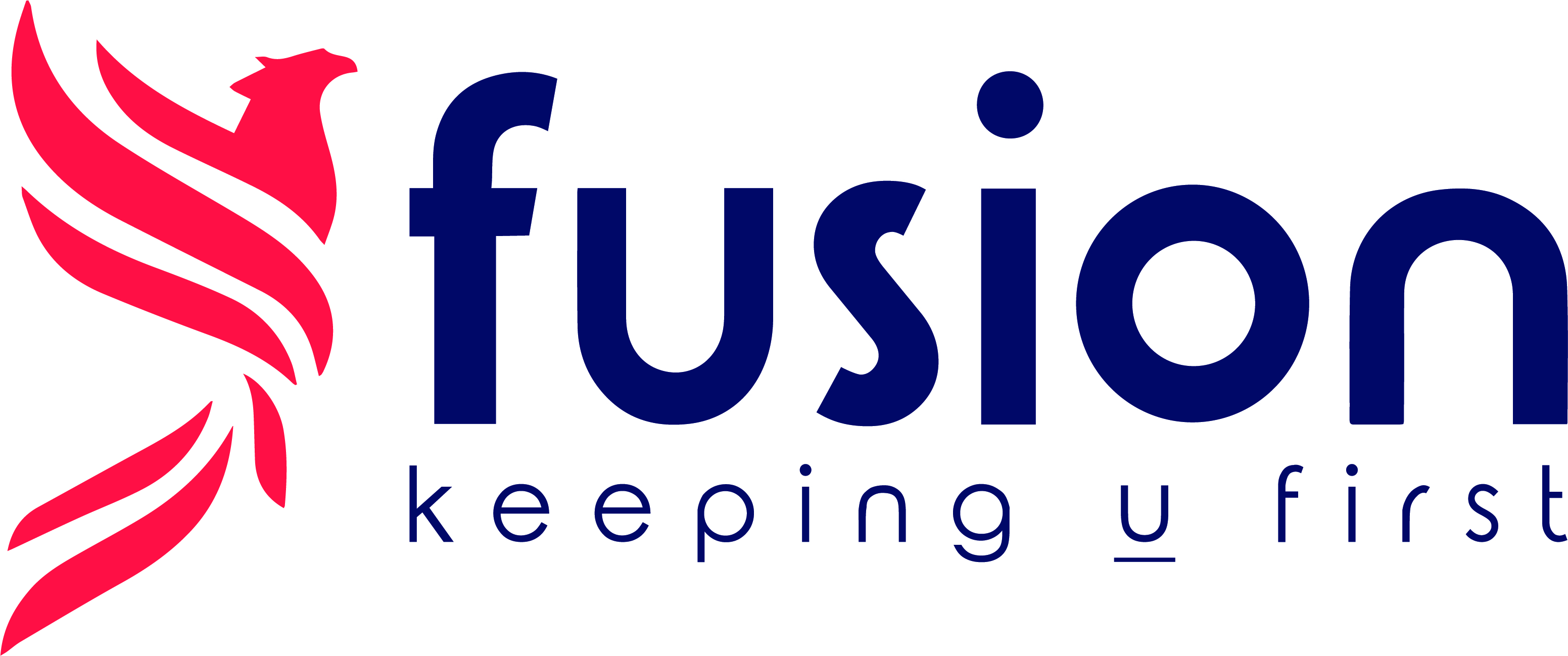 Fusion E-Solutions LLC