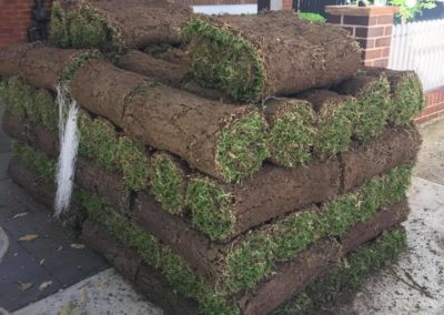 Artificial Turf Installation Sydney - Northern Beaches Garden & Trees