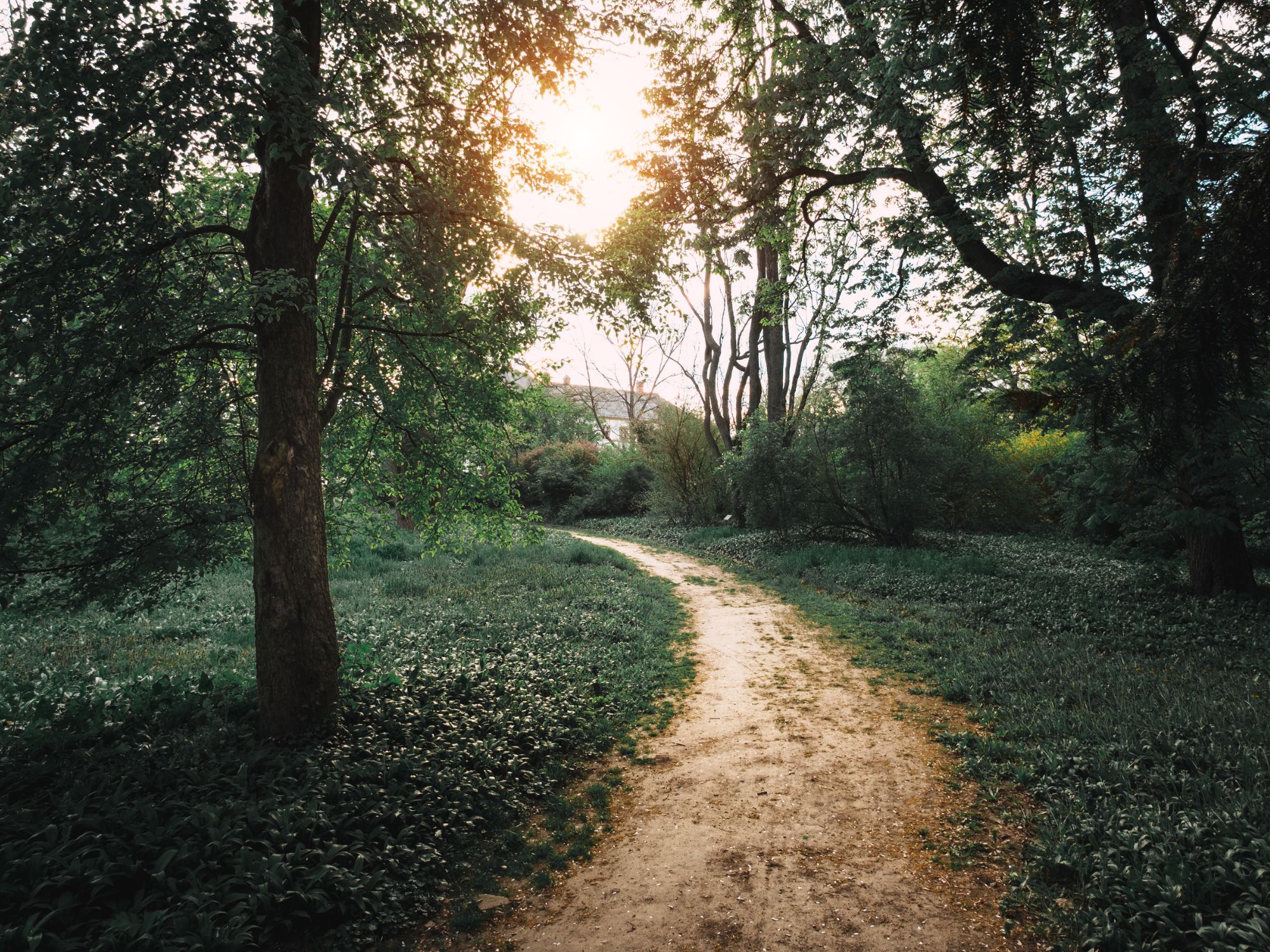 Anewdaypsychology