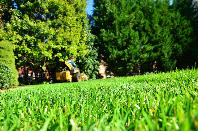 GreenPal Lawn Care of Houston