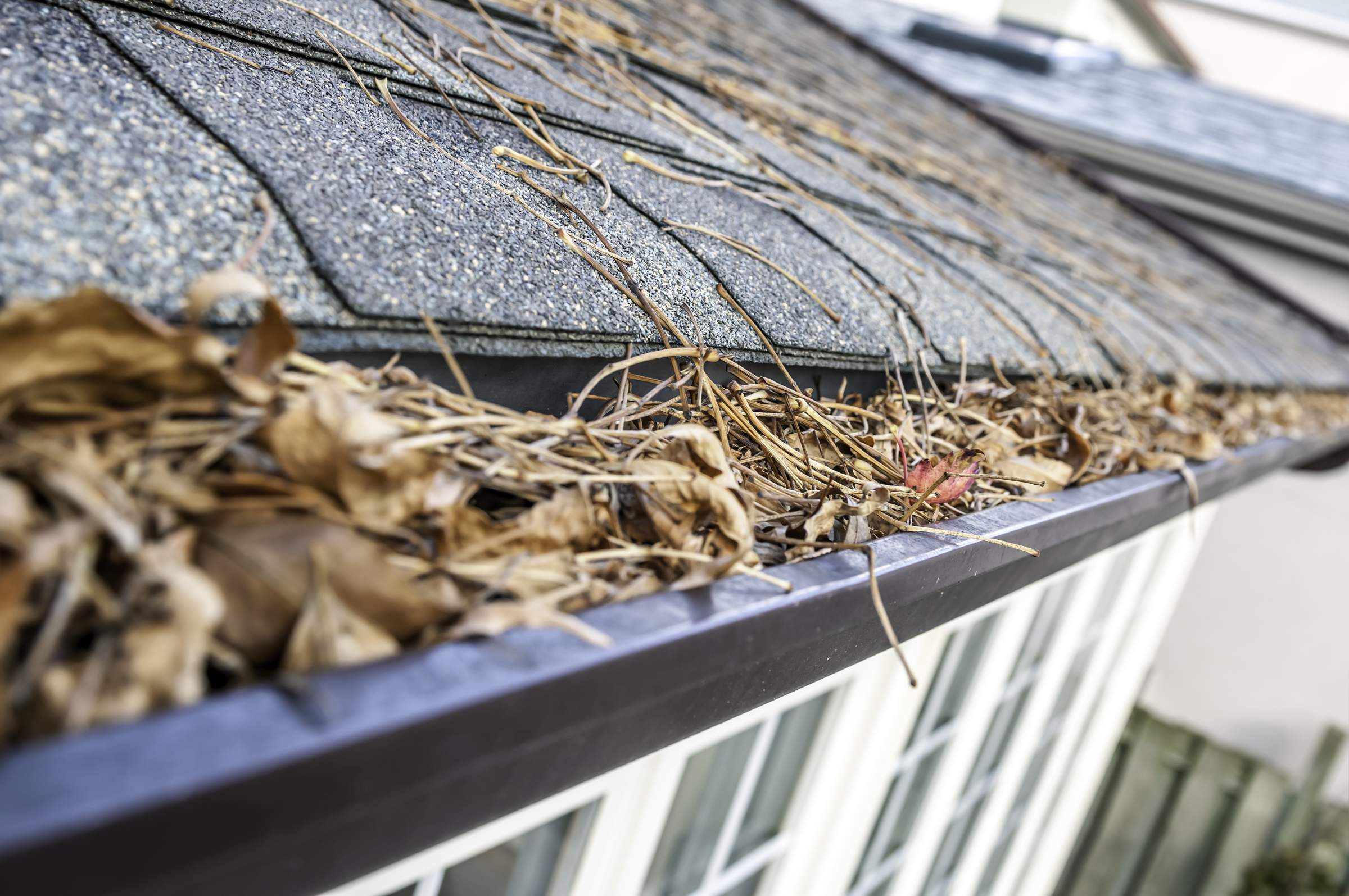 P and N Window & Gutter Cleaning