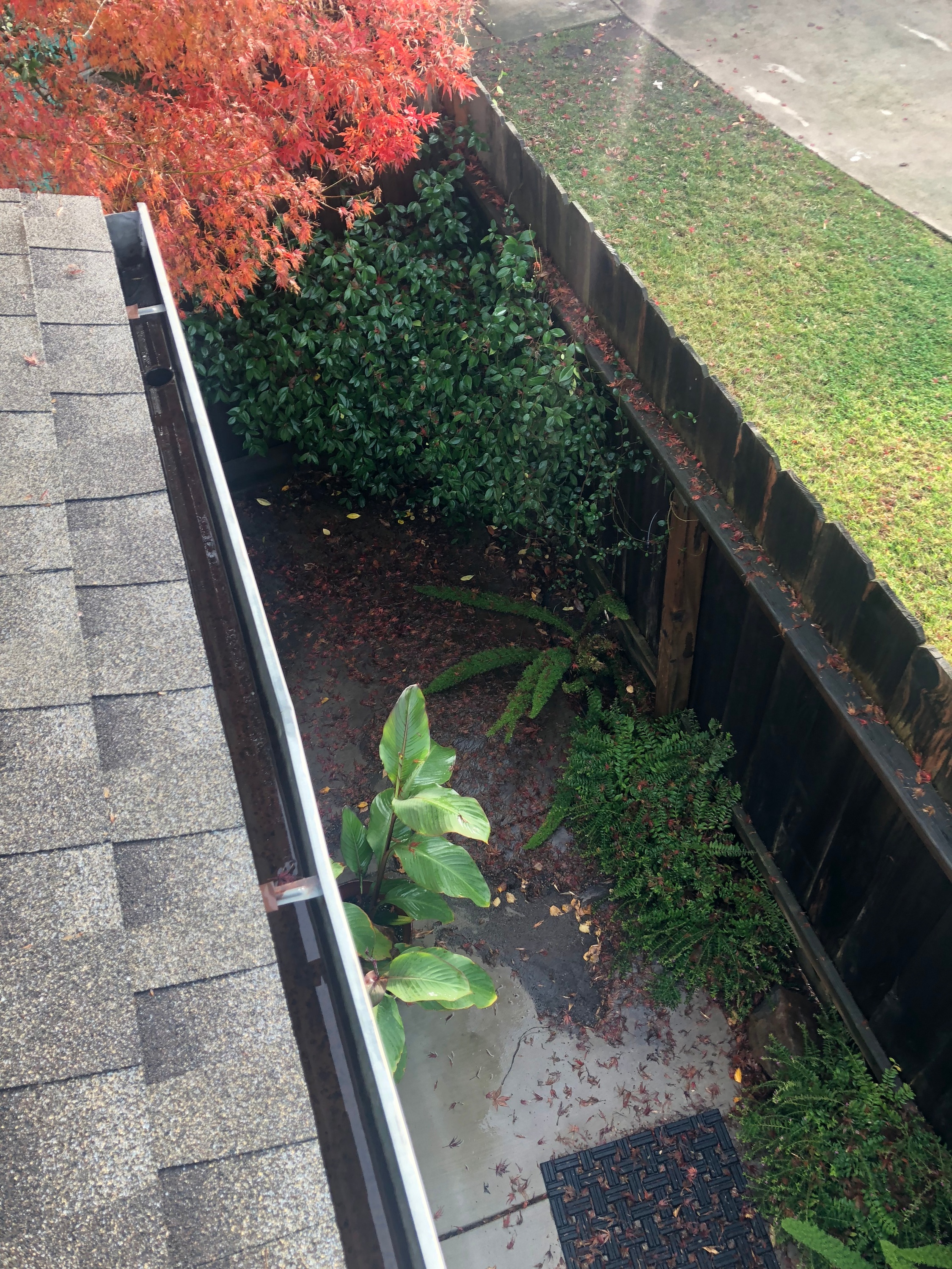 Clean Pro Gutter Cleaning Springfield