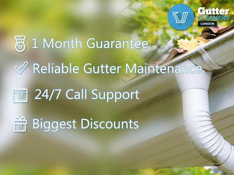 GCL Adept Gutter Cleaners