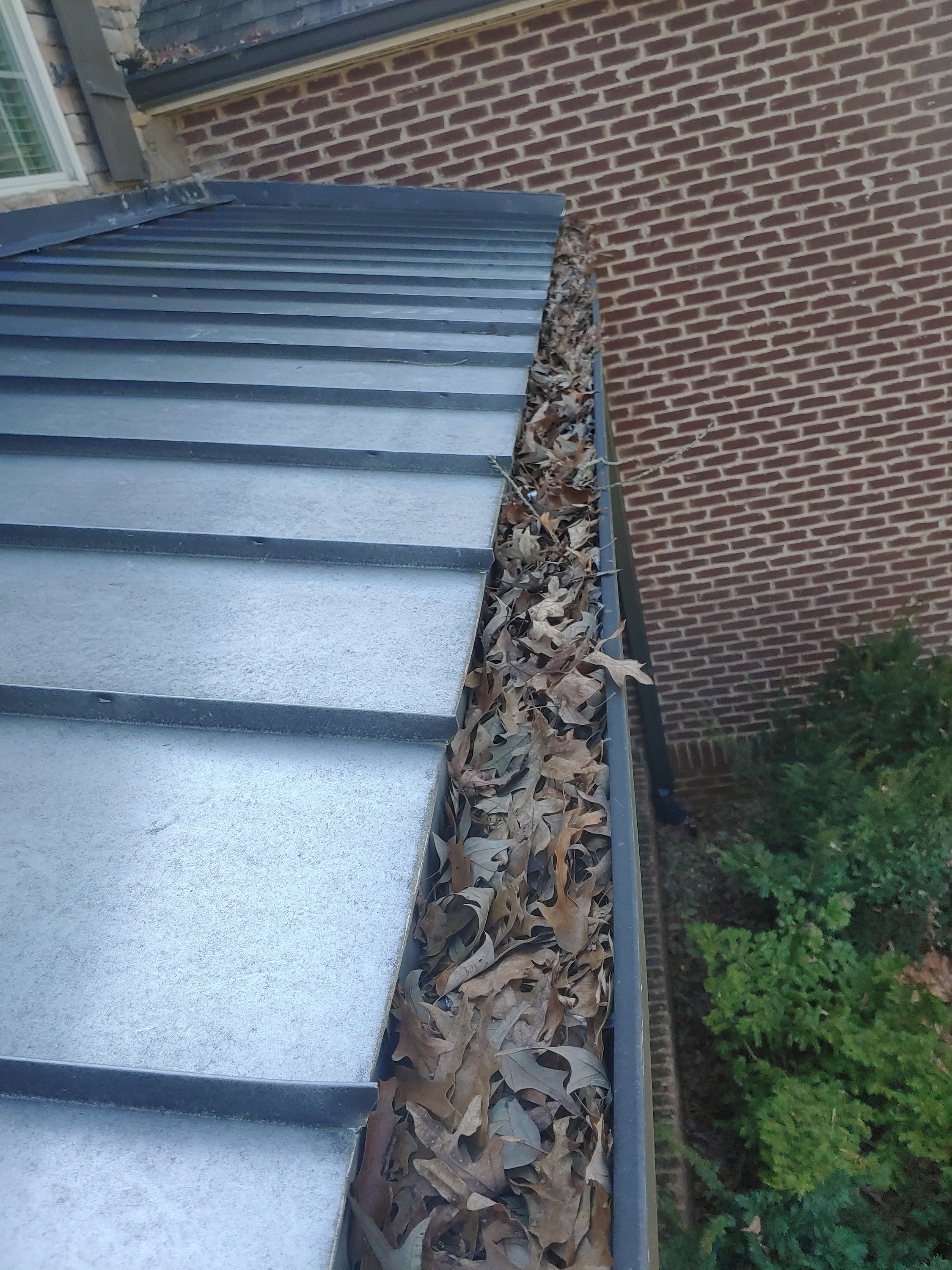 Clean Pro Gutter Cleaning Akron