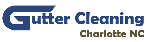 The Gutter Cleaner Guys