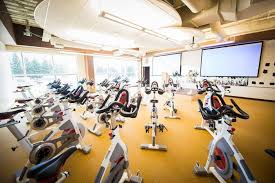 Anytime Fitness Centennial