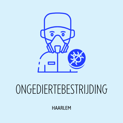 Haarlem Ongediertebestrijding