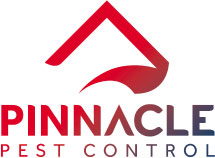 Pest Control Termites New Castle CA