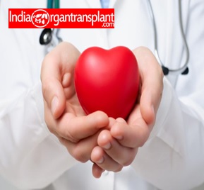 Heart Transplant Surgery Cost India