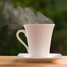 The Ann Stevens House 1895 Historic Bed & Breakfast