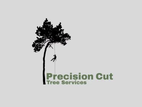 Precision Cut Tree Services