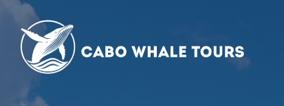 Cabo Whale Tours