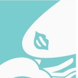 Hands-On Laser Cosmetic Clinic