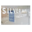 Silver Mirror Facial Bar