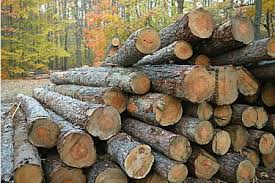 Bhavani Timber Agencies