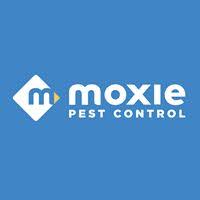 Moxie Pest Control Tucson