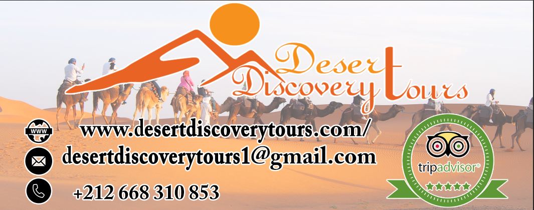 Desert Discovery Tours