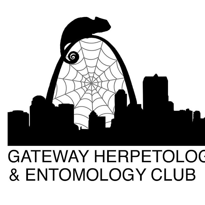 Gateway Herpetology and Entomology club Reptile Rescue