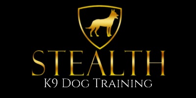 Stealth K9 Dog Training