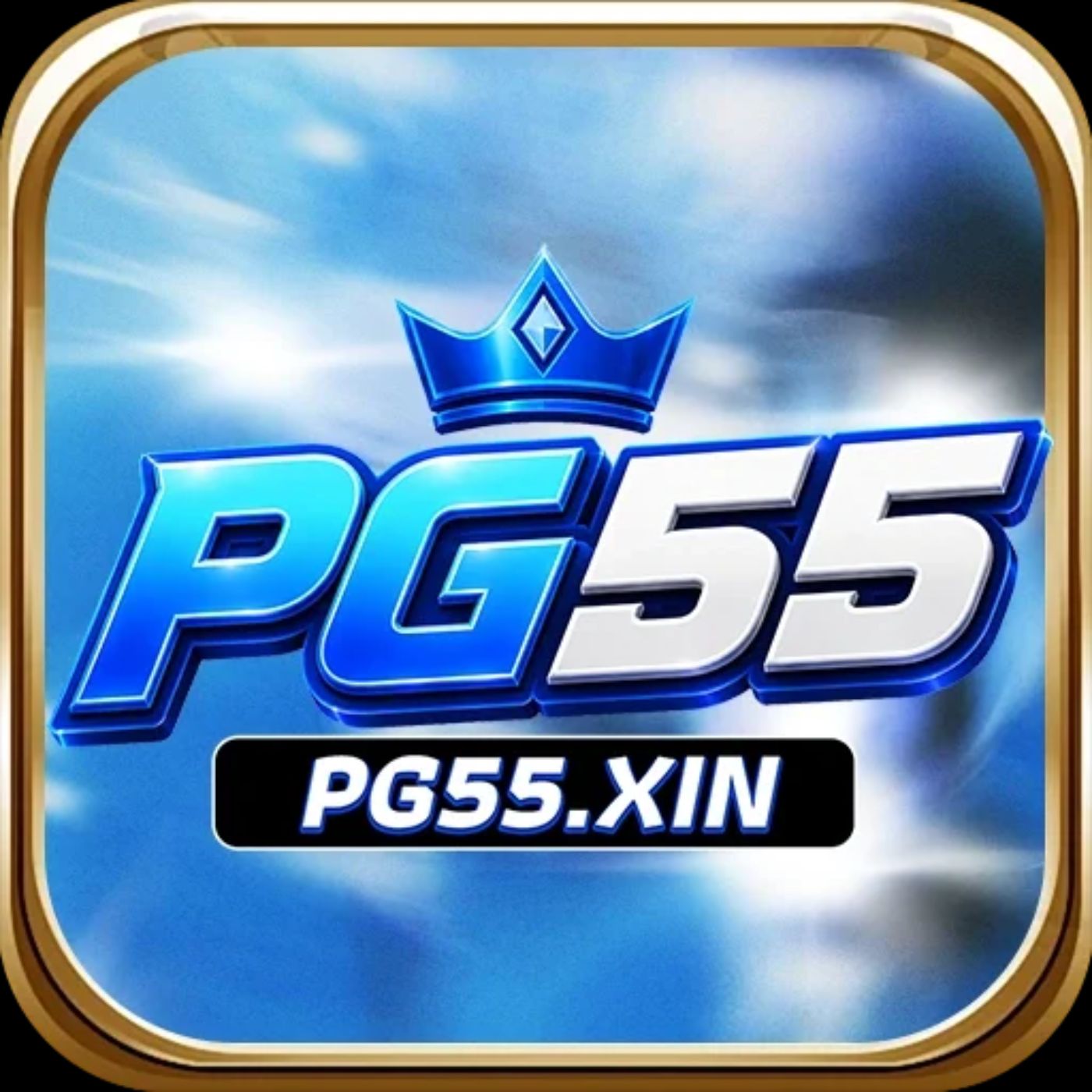 pg55xin1