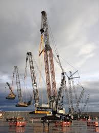 All Ship & Cargo Surveys Ltd