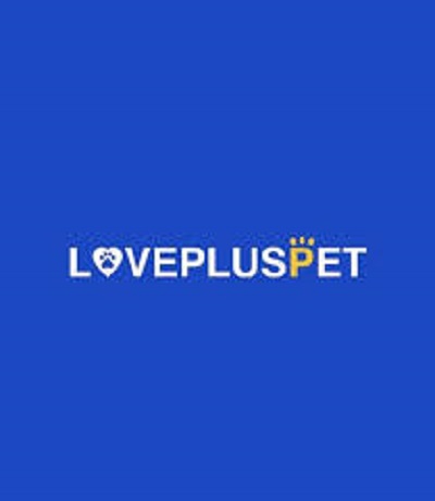 Best Dog Brace For Sale | LOVEPLUSPET