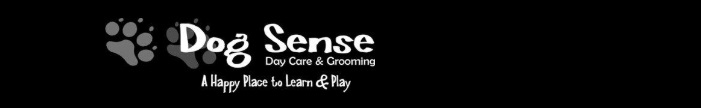 Dogs Sense