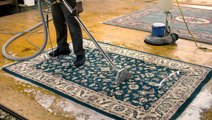 Madison Carpet Cleaning Jacksonville FL