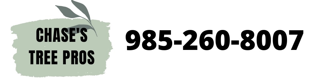 Chase's Tree Pros - Slidell